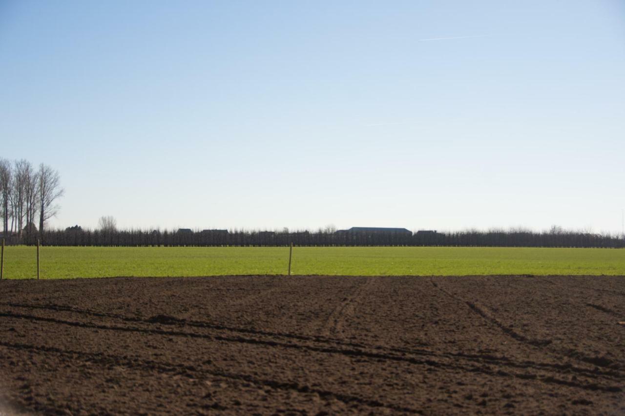 'Op De Borgt' Met Finse Grill Kota Villa Wellen Luaran gambar